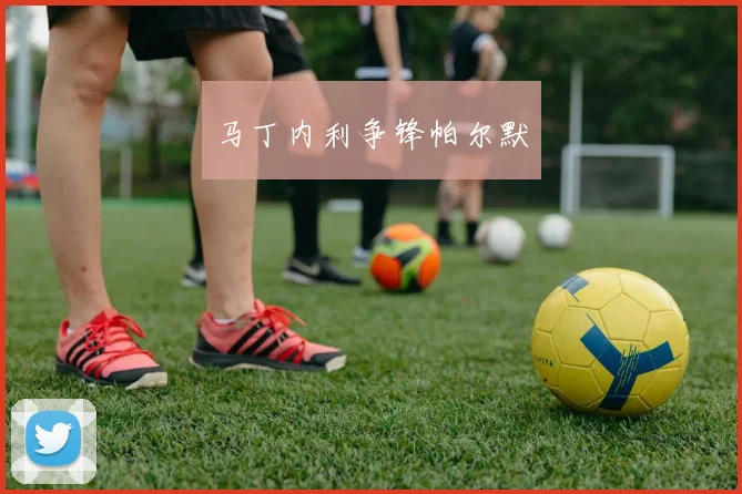 马丁内利争锋帕尔默