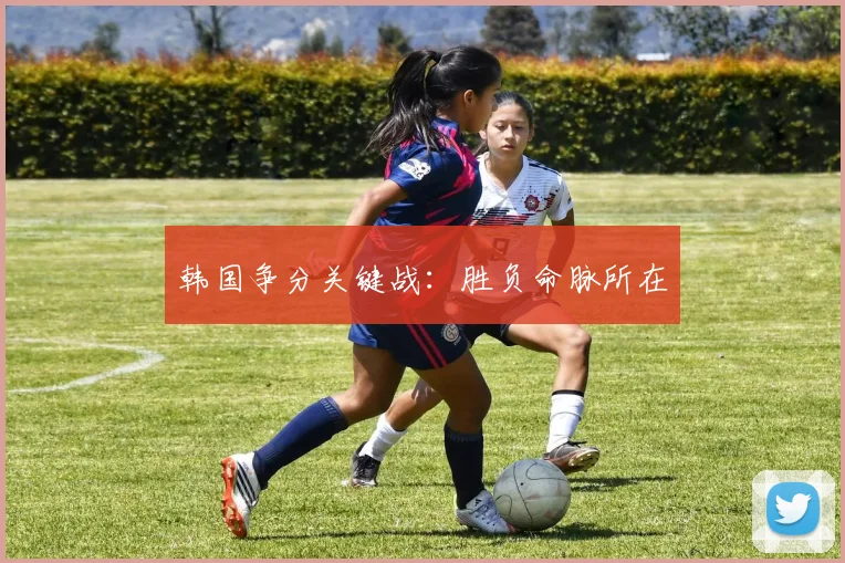 韩国争分关键战：胜负命脉所在