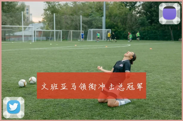 文班亚马领衔冲击总冠军