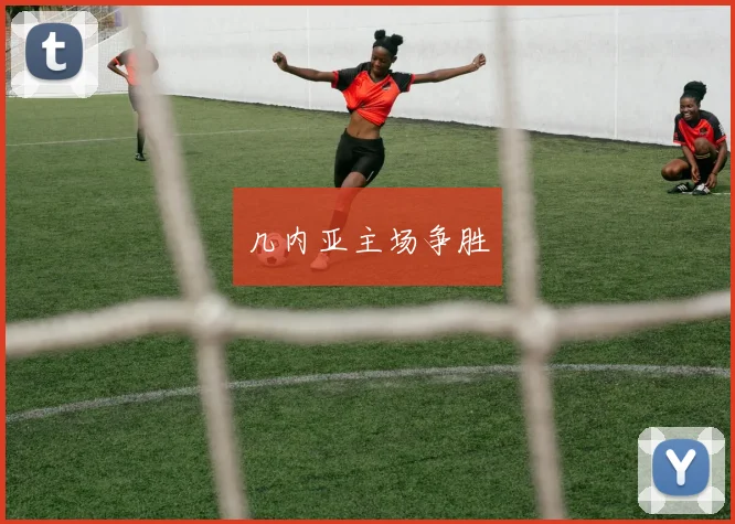 几内亚主场争胜