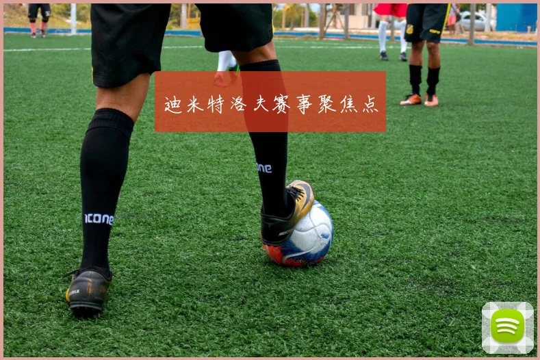 迪米特洛夫赛事聚焦点