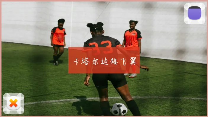 卡塔尔边路飞翼