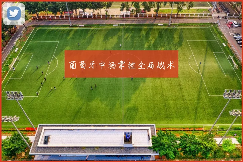 葡萄牙中场掌控全局战术