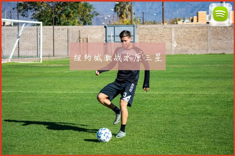 纽约城激战水原三星