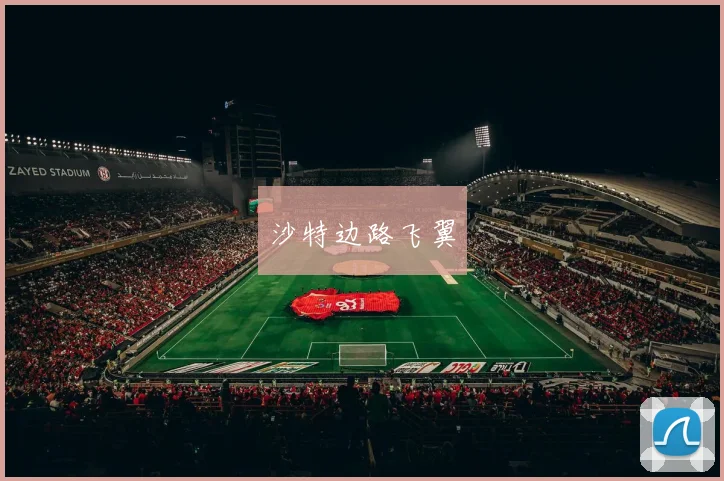 沙特边路飞翼
