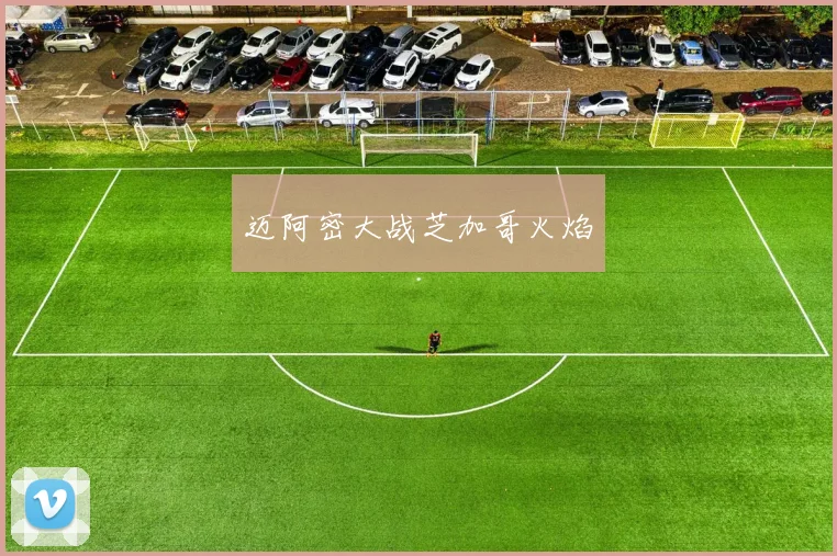 迈阿密大战芝加哥火焰