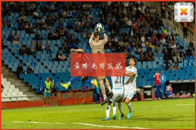 黄蜂老将发威