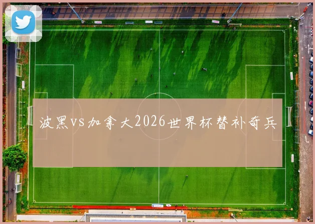 波黑vs加拿大2026世界杯替补奇兵