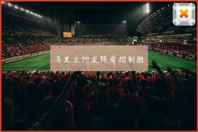 马里主帅变阵奇招制胜