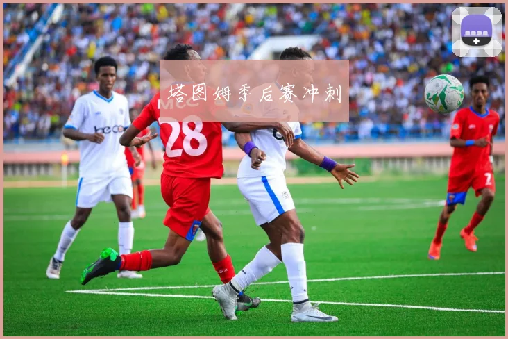 塔图姆季后赛冲刺