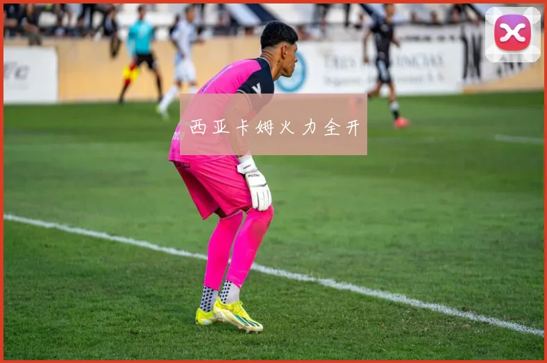 西亚卡姆火力全开