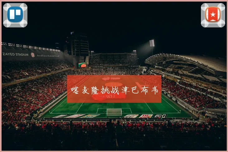 喀麦隆挑战津巴布韦