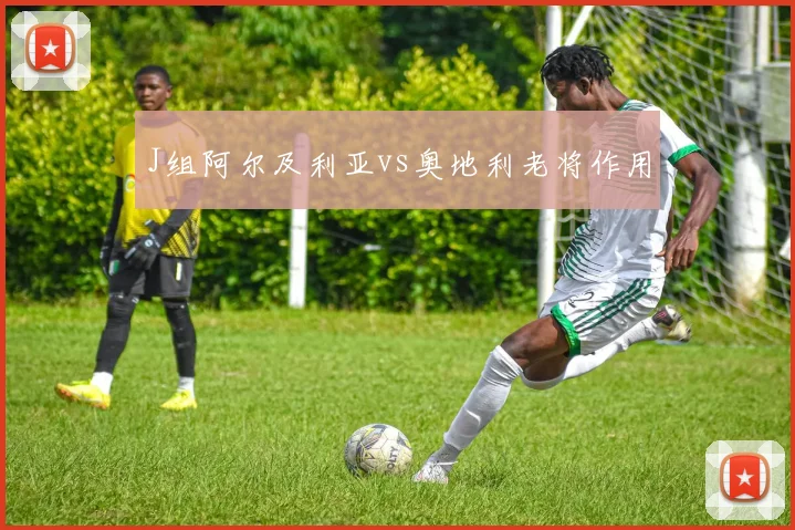 J组阿尔及利亚vs奥地利老将作用