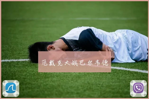 范戴克大战巴尔韦德