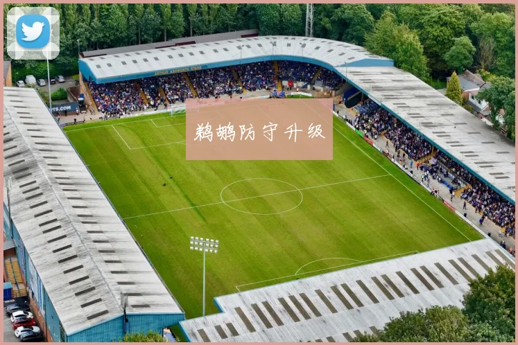 鹈鹕防守升级