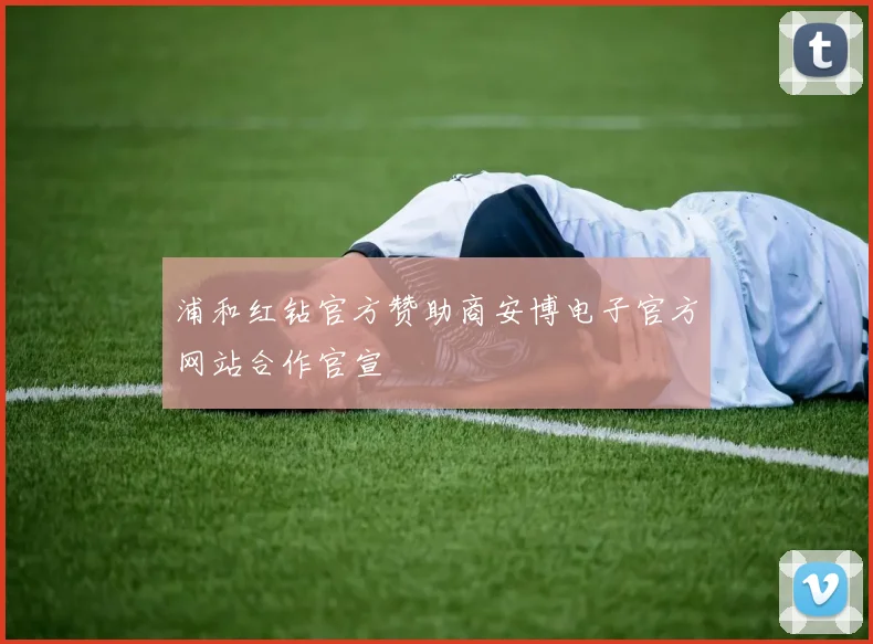 浦和红钻官方赞助商安博电子官方网站合作官宣